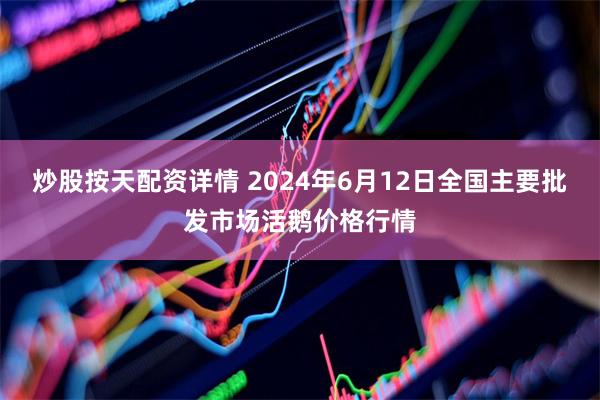 炒股按天配资详情 2024年6月12日全国主要批发市场活鹅价格行情