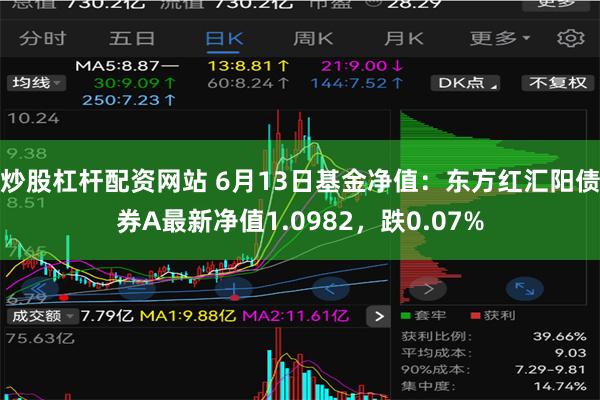 炒股杠杆配资网站 6月13日基金净值：东方红汇阳债券A最新净值1.0982，跌0.07%