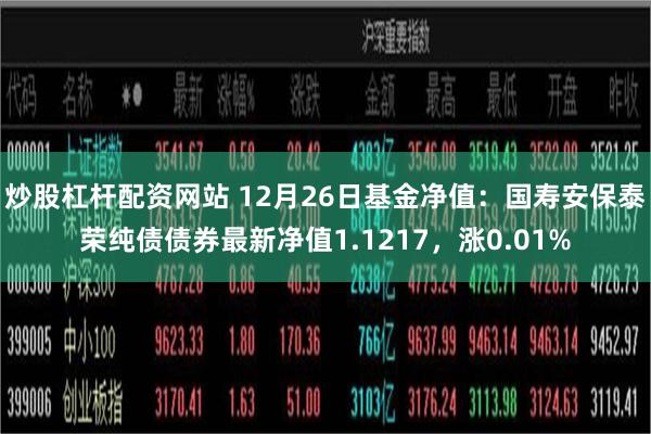 炒股杠杆配资网站 12月26日基金净值：国寿安保泰荣纯债债券最新净值1.1217，涨0.01%