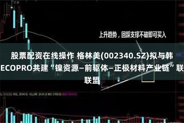 股票配资在线操作 格林美(002340.SZ)拟与韩国ECOPRO共建“镍资源—前驱体—正极材料产业链”联盟