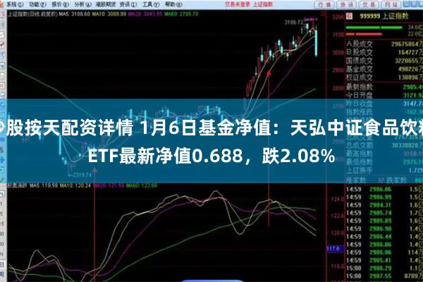 炒股按天配资详情 1月6日基金净值：天弘中证食品饮料ETF最新净值0.688，跌2.08%
