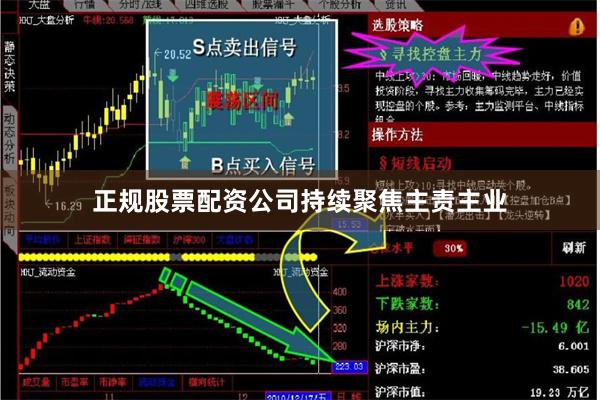 正规股票配资公司持续聚焦主责主业