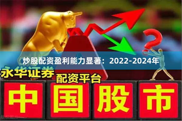炒股配资盈利能力显著：2022-2024年
